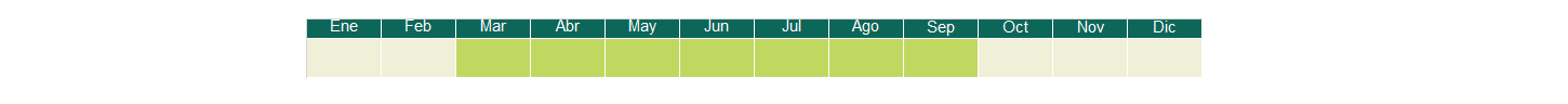 calendario-mandarina-2